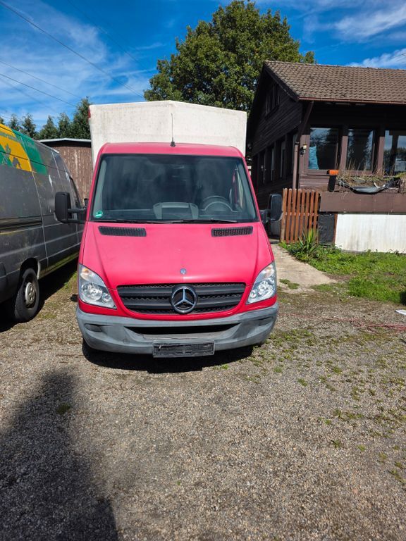 Sprinter