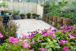 Etagenwohnung Oberhausen Alt-Oberhausen - 2 Zimmer, 65 m&sup2;, 155.000&euro; | Angebot:27487075