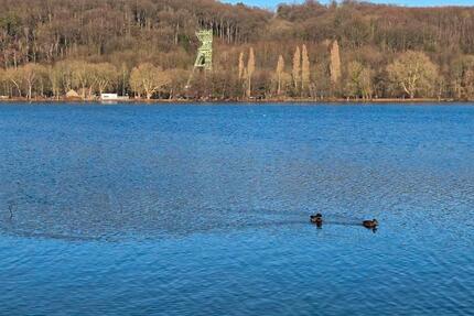 Wohnung Essen Stadtbezirk IX - 3 Zimmer, 55 m&sup2;, 692&euro; | Angebot:24801811