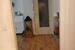 Wohnung zu vermieten