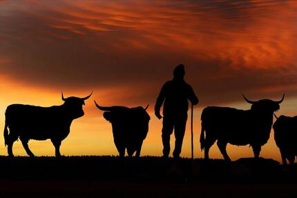 Gewerbeobjekt Essen Stadtbezirk IV - 3.000&euro; | Angebot:24709616