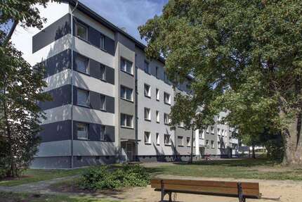 Wohnung Gladbeck Brauck - 3.5 Zimmer, 66 m&sup2;, 519&euro; | Angebot:27457594