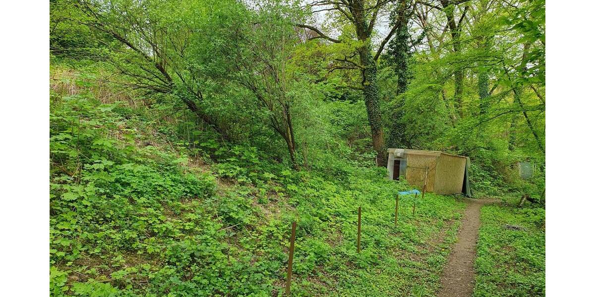 Mehrfamilienhaus, Wohnhaus Velbert Mitte - 9 Zimmer, 220 m&sup2;, 579.000&euro; | Angebot:25671644