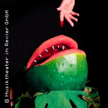 Der kleine Horrorladen 27.06.2026 Musiktheater Kleines Haus