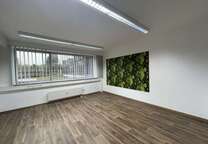 Büro in Meerbusch 2.574 € 234 m²