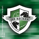 Premium Arrangement - TSV Hannover-Burgdorf - HSV Hamburg