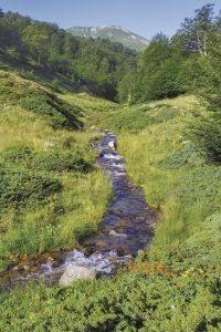 Haus in Bulgarien 3 zimmer