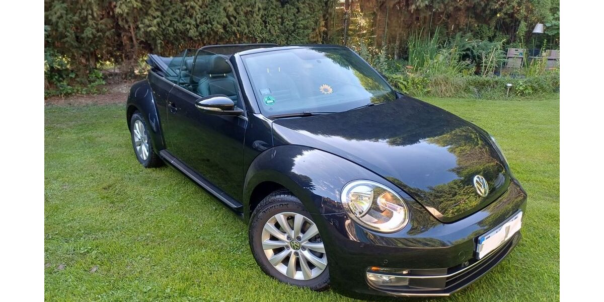 VW Beetle 71.500 km 14.900 &euro; Essen 45359