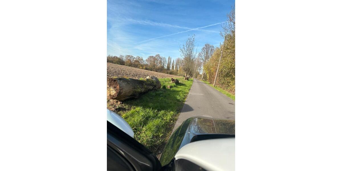 Mehrfamilienhaus, Wohnhaus Essen Stadtbezirk VII - 20 Zimmer, 570 m&sup2;, 1.500.000&euro; | Angebot:25612813