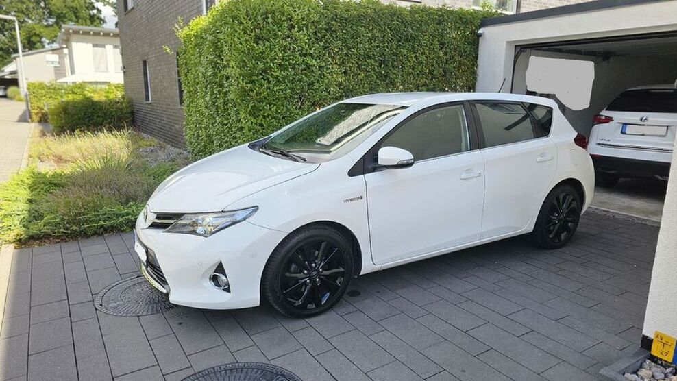 Auris