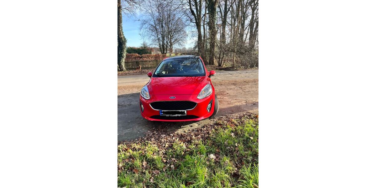 Ford Fiesta 100.100 km 8.350 &euro; Recklinghausen 45657