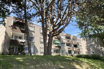 Wohnung Bochum Altenbochum - 2 Zimmer, 48 m&sup2;, 244&euro; | Angebot:26906417