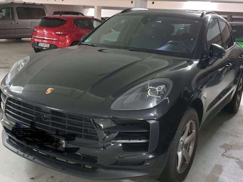 Macan