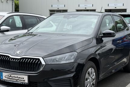 Skoda Fabia 38.325 km 13.690 &euro; Castrop-Rauxel 44579