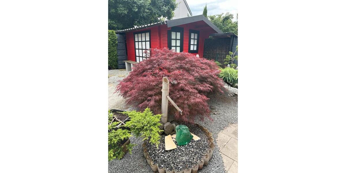 Reihenhaus Bottrop - 4 Zimmer, 130 m&sup2;, 480.000&euro; | Angebot:26920285
