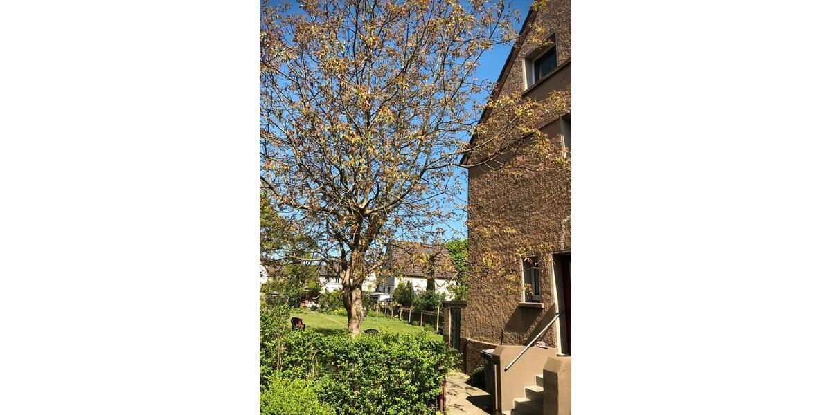 Einfamilienhaus Duisburg Duisburg-Mitte - 275.000&euro; | Angebot:26441075