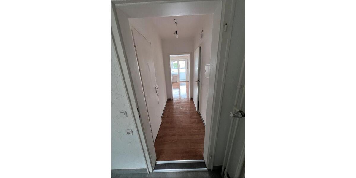 1,5 Raumwohnung im grünen in Gelsenkirchen 1 zimmer