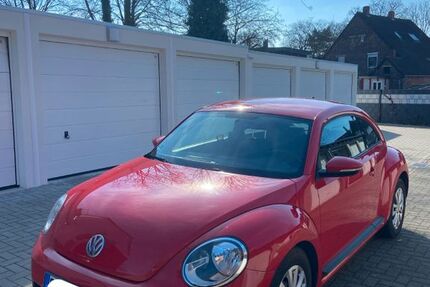 VW Beetle