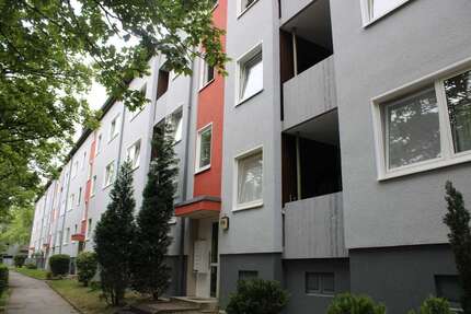 Wohnung zum Mieten in Witten 348,98 € 65.23 m² 2 zimmer