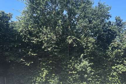 Grundstück zu verkaufen in Voerde 120.000 € 578 m² zimmer