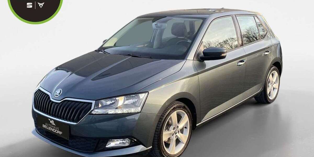 Skoda Fabia 10.011 km 14.940 &euro; Bottrop 46244