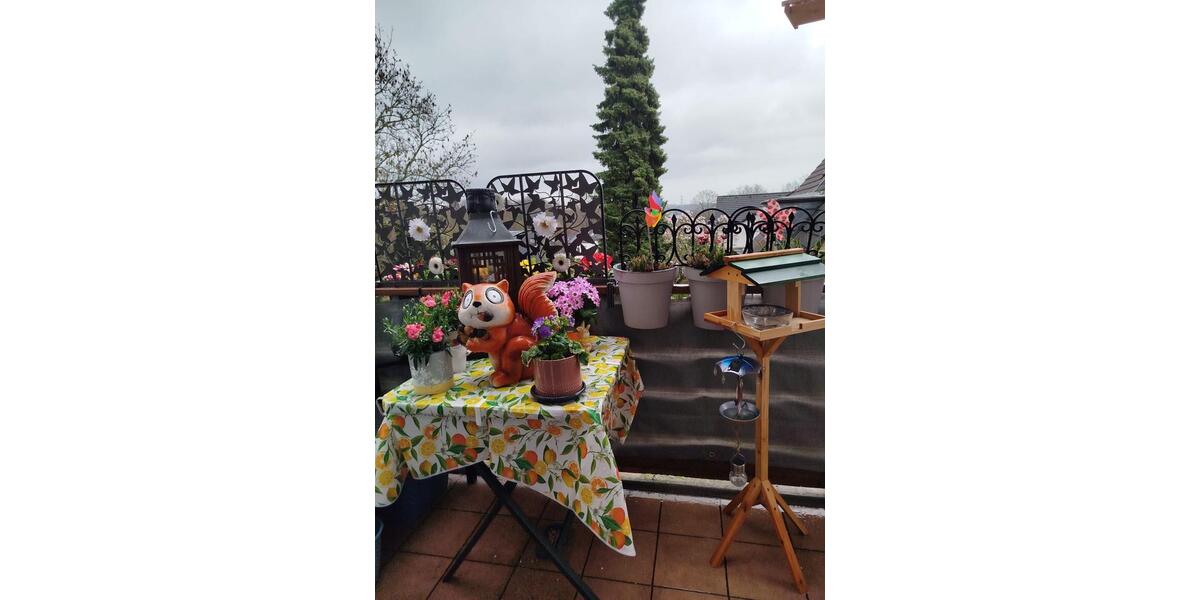 Etagenwohnung Bochum Eppendorf - 2 Zimmer, 74 m&sup2;, 820&euro; | Angebot:25590281