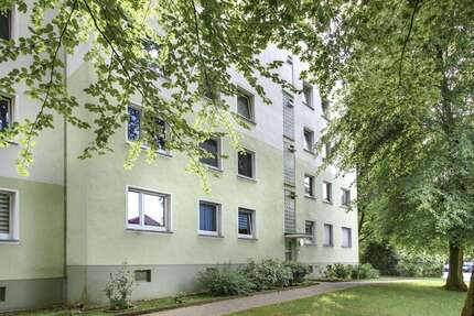 Wohnung zum Mieten in Essen 409 € 63 m² 2 zimmer