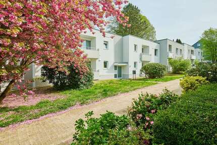 Wohnung Wülfrath - 2 Zimmer, 55 m&sup2;, 378&euro; | Angebot:26480696