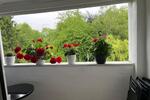 Dachgeschoßwohnung Mülheim an der Ruhr Rechtsruhr-Nord - 3.5 Zimmer, 77 m&sup2;, 740&euro; | Angebot:26349049