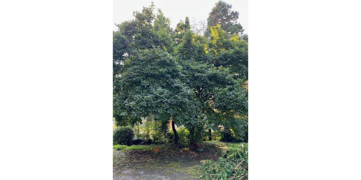 Einfamilienhaus Herdecke - 7 Zimmer, 214 m&sup2;, 490.000&euro; | Angebot:25690738