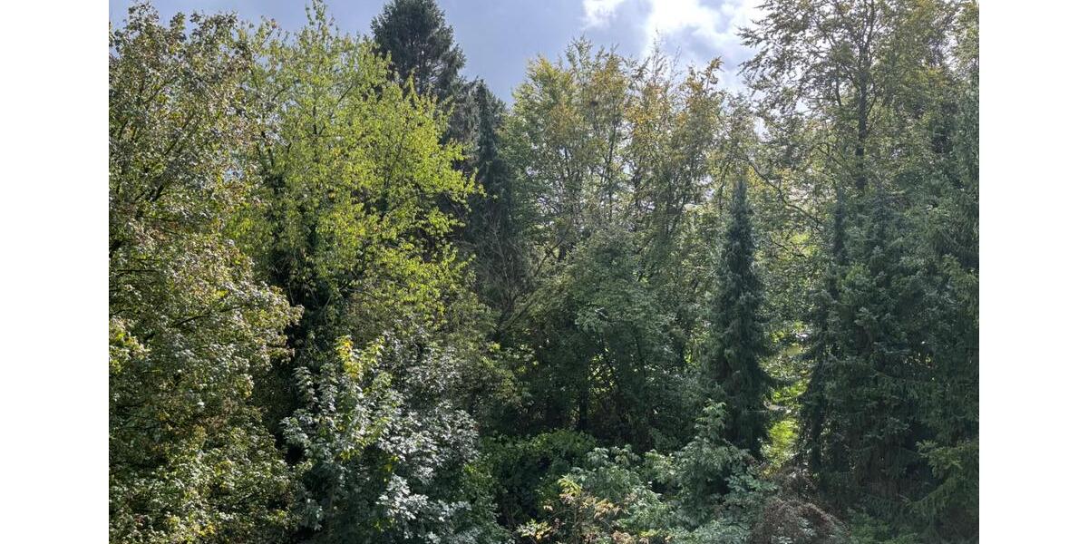Etagenwohnung Mettmann - 3 Zimmer, 103 m&sup2;, 380.000&euro; | Angebot:27457207