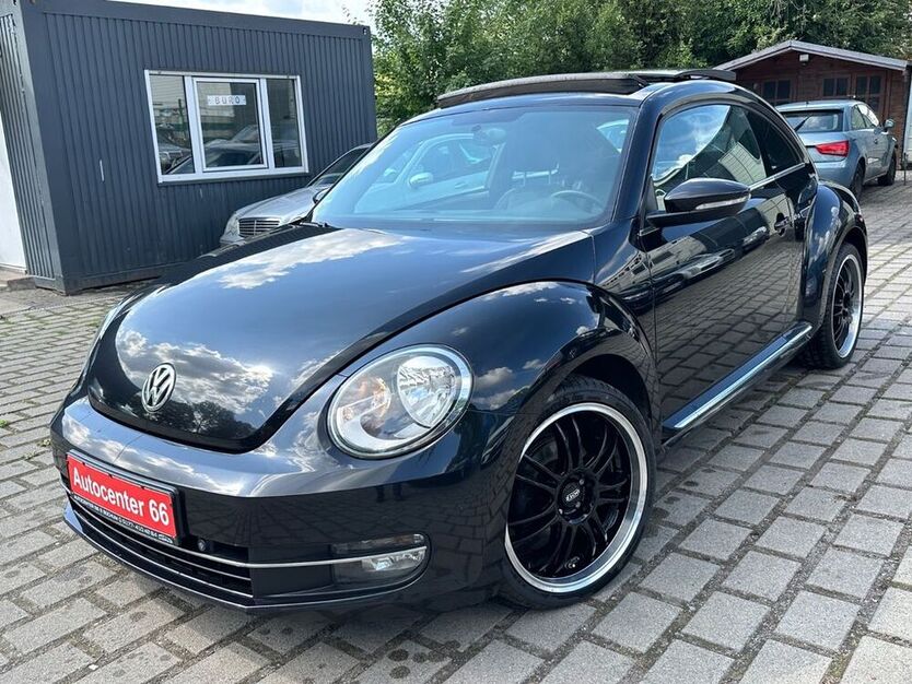 Beetle