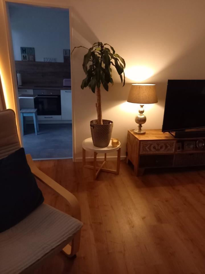1,5 Raum Wohnung mit Balkon zimmer