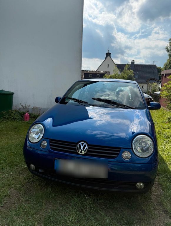 Lupo