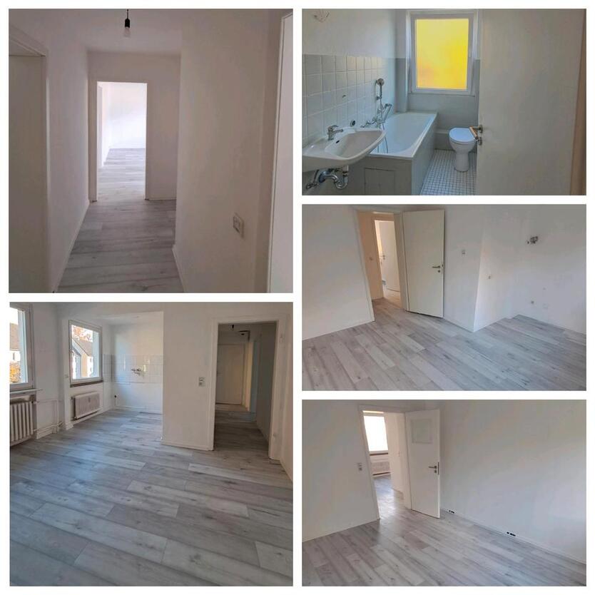 TOP Sanierte Wohnung in Herne zu vermieten! zimmer