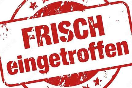 Kia Sorento 225.794 km 7.999 &euro; essen 45326