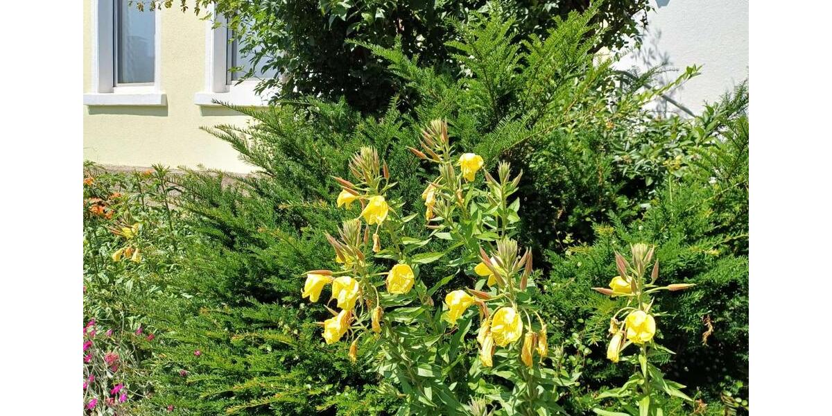 Uninahes Mieten auf Zeit für Studenten , Dozenten, Unimitarbeiter 3 zimmer