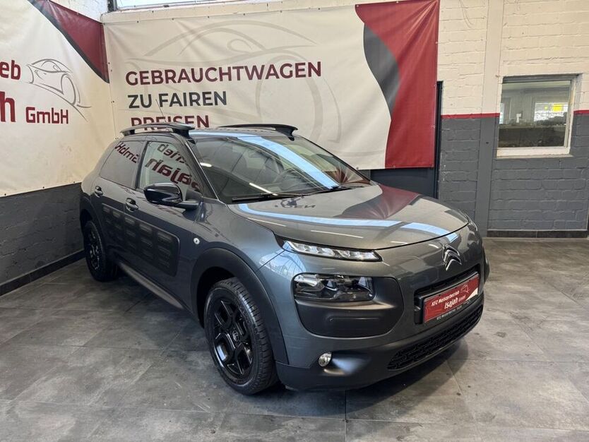 C4 Cactus