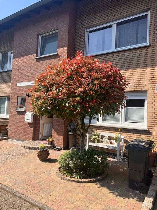 Haus zum Kaufen in Wesel-Blumenkamp 349.000 € 158 m²