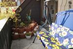 Loft - Studio - Atelier Herten - 1 Zimmer, 86 m&sup2;, 650&euro; | Angebot:26442825