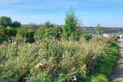 Grundstück zu verkaufen in Schwelm 215.000 € 503 m² zimmer