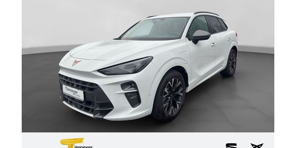 Cupra Terramar 18.480 km 38.480 &euro; Duisburg 47059