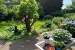 Bauernhaus, Landhaus Moers Vinn - 5 Zimmer, 244 m&sup2;, 749.000&euro; | Angebot:26037086