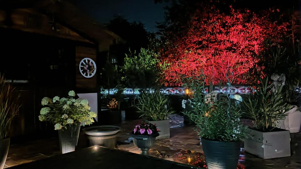 Sonnige Terrassenwohnung mit Ausblick! 2 zimmer