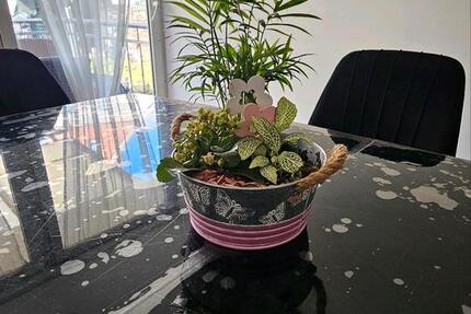 Einfamilienhaus in Duisburg Rheinhausen top Lage mit eigenem 5 zimmer