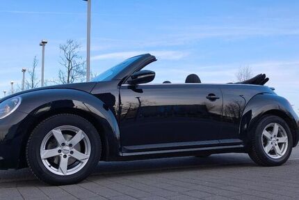 VW Beetle