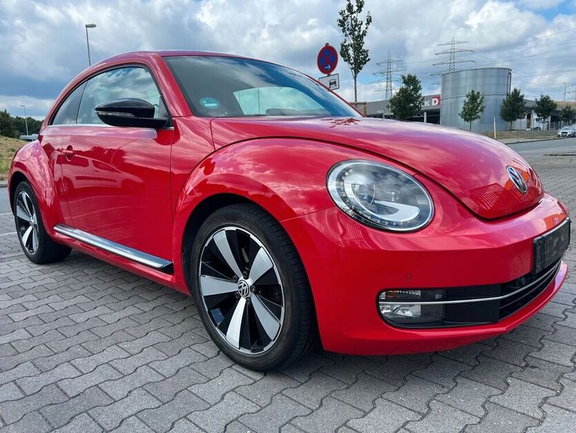 Beetle