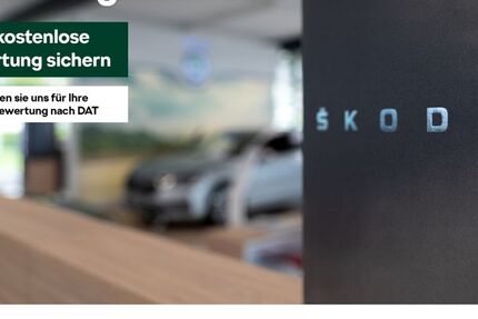 Skoda Octavia 17.760 km 38.888 € Krefeld 47804