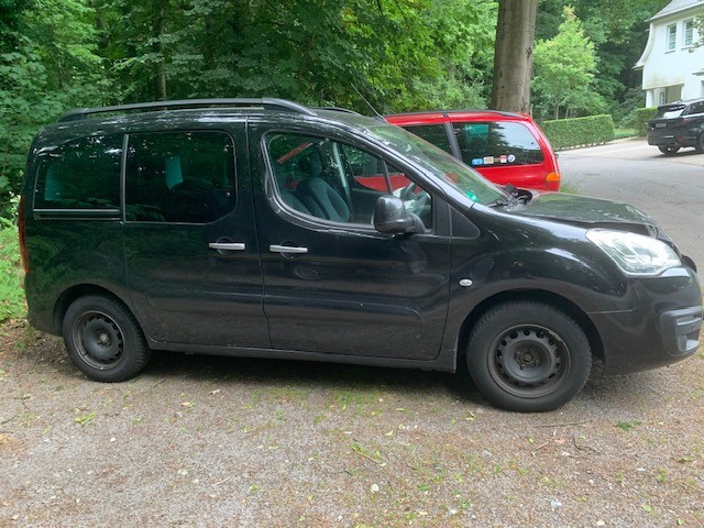 Berlingo