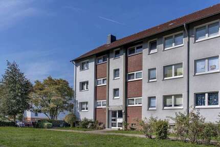 Wohnung zum Mieten in Herne 489 € 62.12 m²
